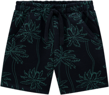 Load image into Gallery viewer, Milon Boys T-Shirt & Shorts Set